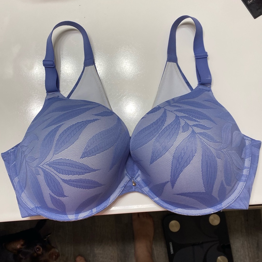 Cacique Bra